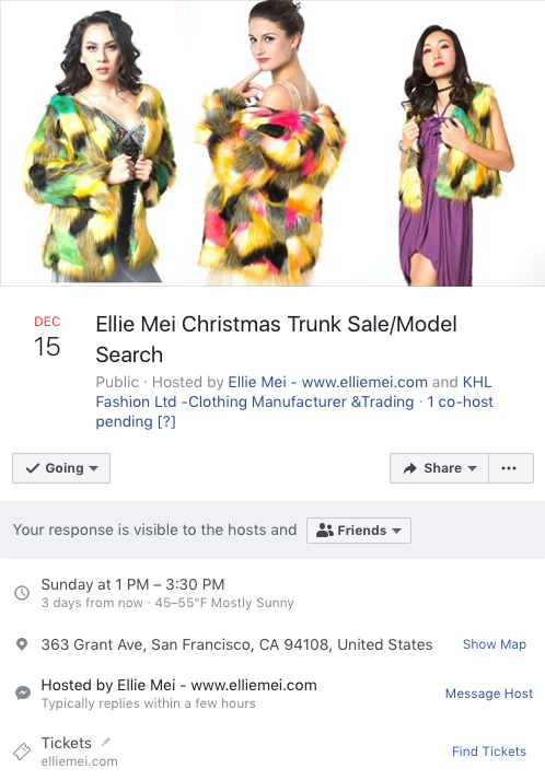Ellie Mei Chirstmas Sale trunk sale model search